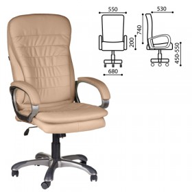 Кресло офисное BRABIX Omega EX-589 в Исилькуле - isilkul.katalogmebeli.com | фото